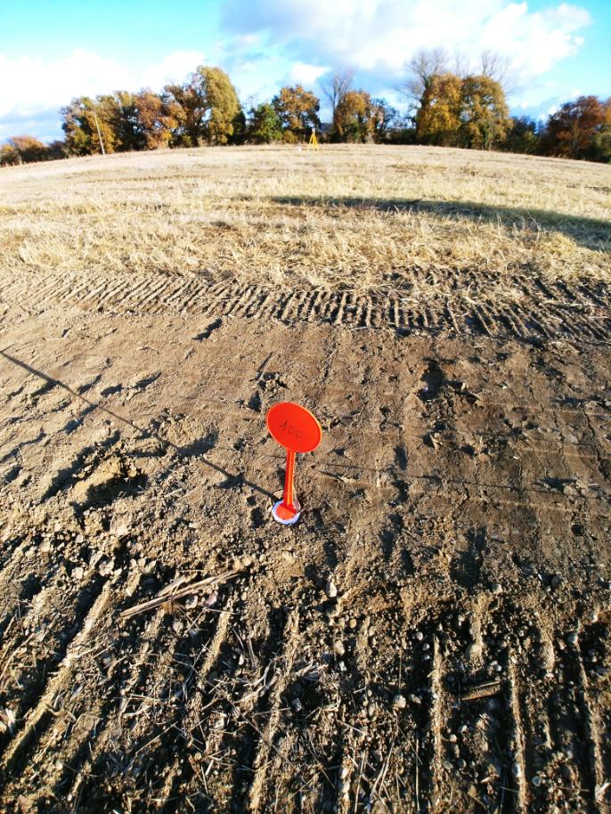 Bornage de terrain pour définir clairement les limites entre deux propriétés