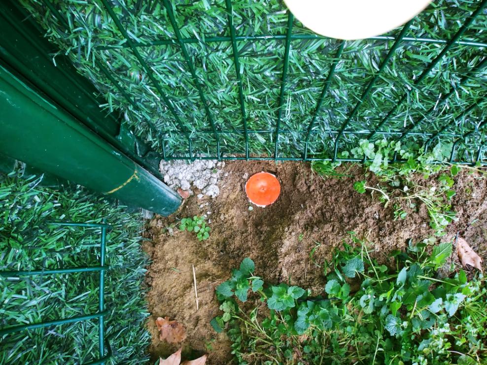 Pose de bornes lors d’un bornage de terrain pour sécuriser une parcelle